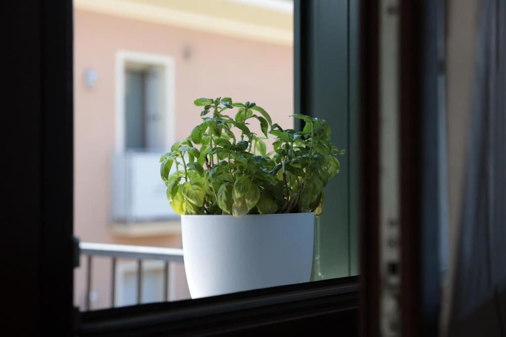 15 Min Padova Appartamento Moderno Travato Legnaro Bagian luar foto